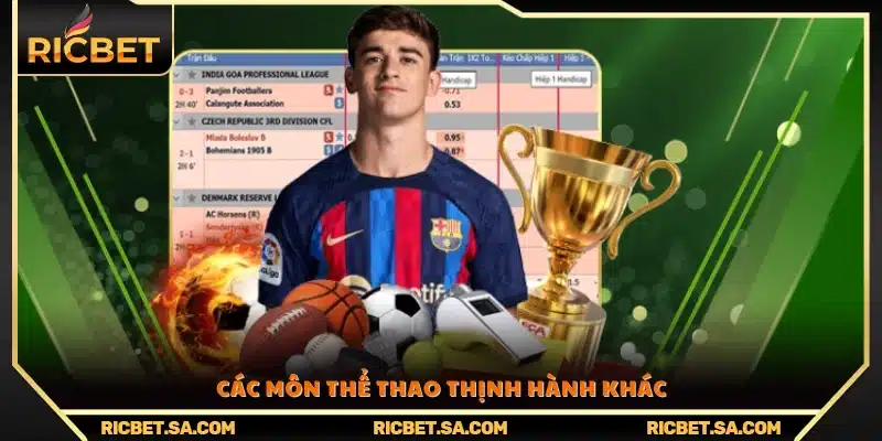 Những lựa chọn thể thao nổi bật khác