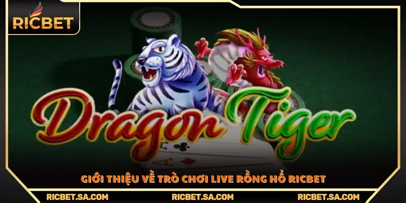Tổng quan về tựa game live Rồng Hổ Ricbet