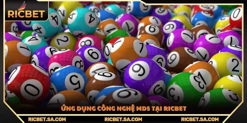 Ricbet tích hợp công nghệ mã hóa MD5 